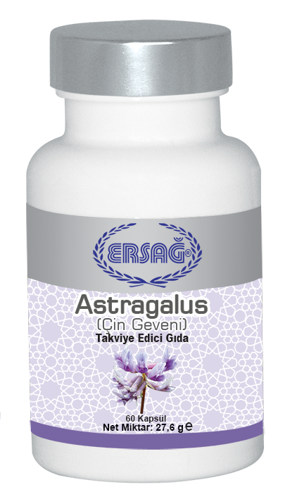 ERSAĞ ASTRAGALUS (ÇİN GEVENİ)